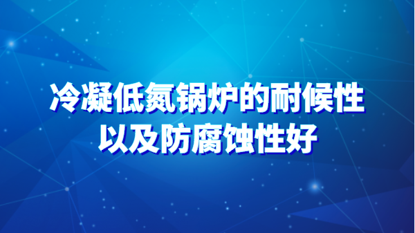 冷凝低氮鍋爐的耐候性以及防腐蝕性好